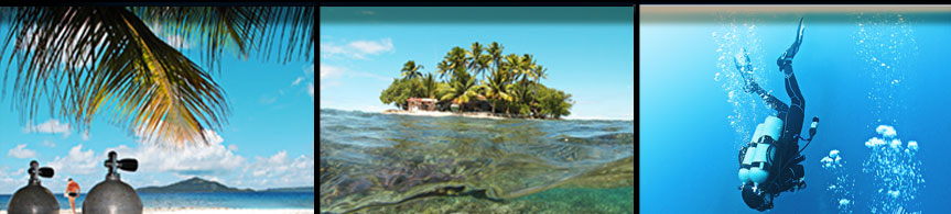 Professional Underwater Photography of Truk Lagoon, Chuuk FSM.  